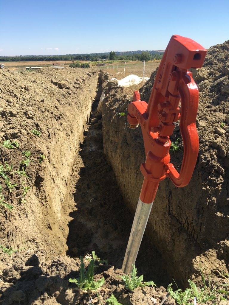 We have been busy this week digging trenches for a new irrigation system at the farm. Lots of work! But it will provide us with a sturdier, more reliable way of delivering all-important water to our many, many plants. More than 250 varieties!