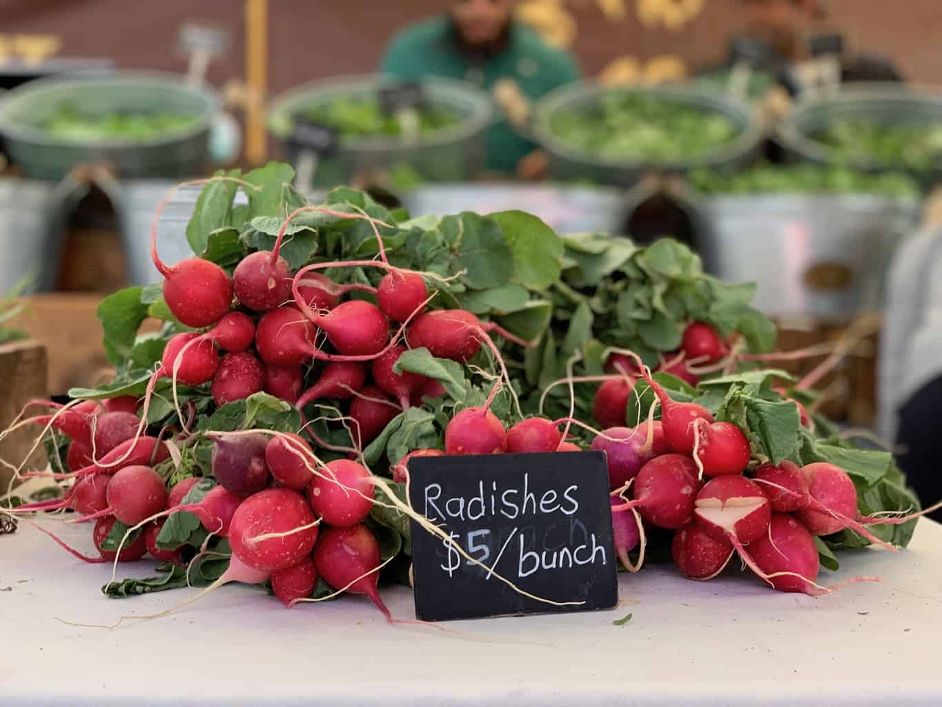 Radishes from Black Cat Farm in Boulder, Colorado at the Farmers' Market