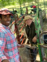 Xavier and Farmer Andie working with sheep on Black Cat Farm