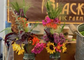 Flower bouquets at the farmstand for Black Cat Organic Farm in Boulder, Colorado