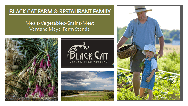 Black Cat Farm and Restaurant offerings anncouncment with pictures of the farmer, vegetables and the farm fields
