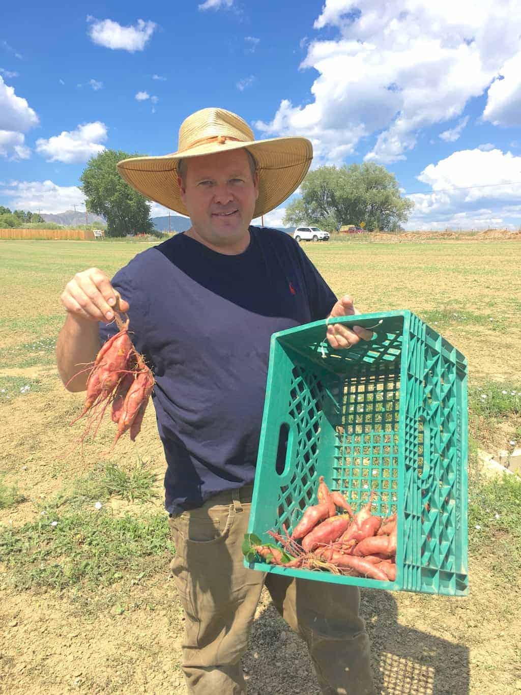 Eric Skokan from Black Cat Farm holding a crop of sweet potatoes