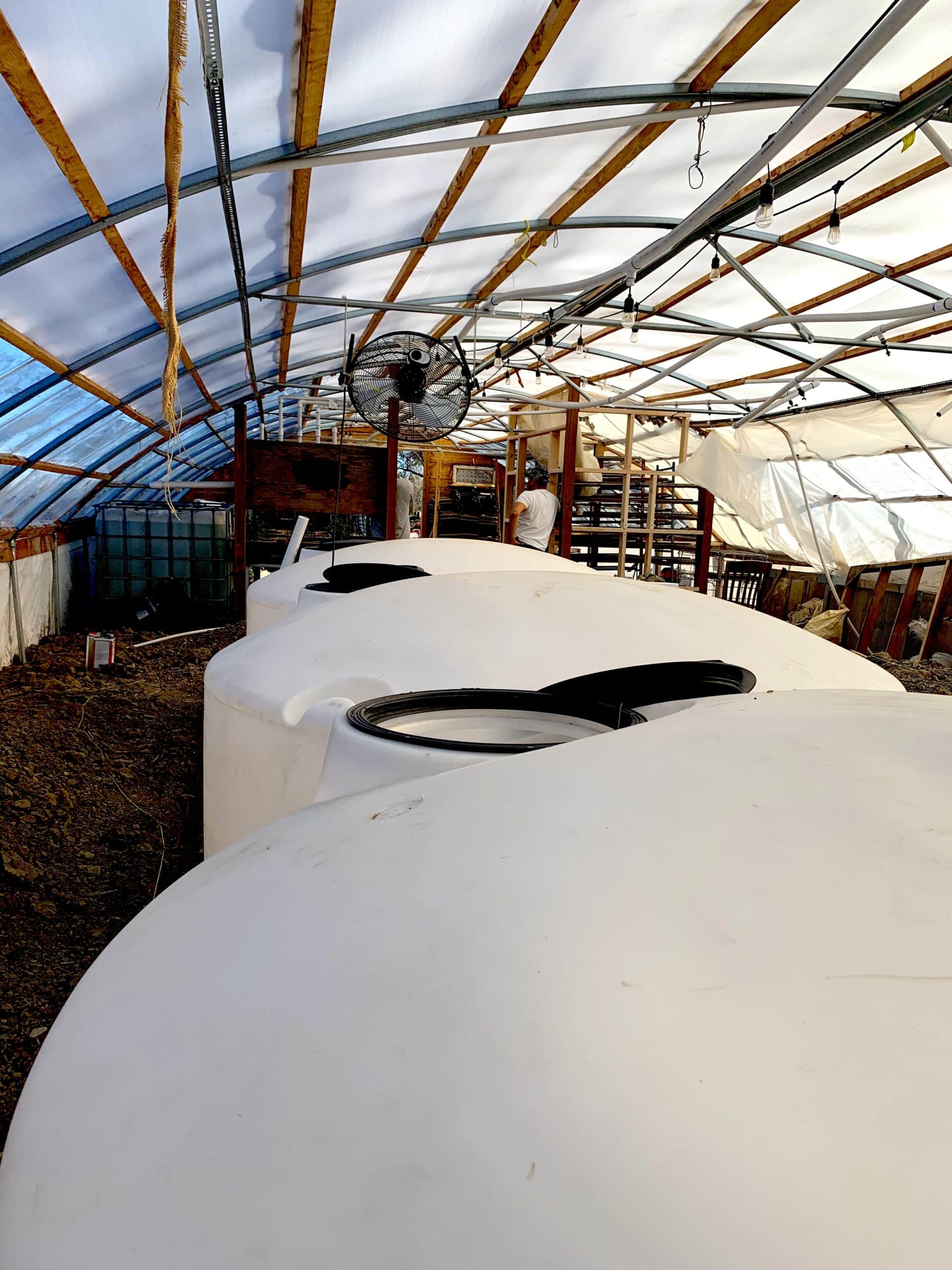 water tanks in black cat organic farm greenhouse