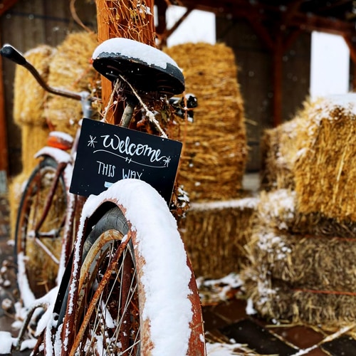 Black Cat Farm Newsletter, Image of a bicycle next to haybales in the snow.