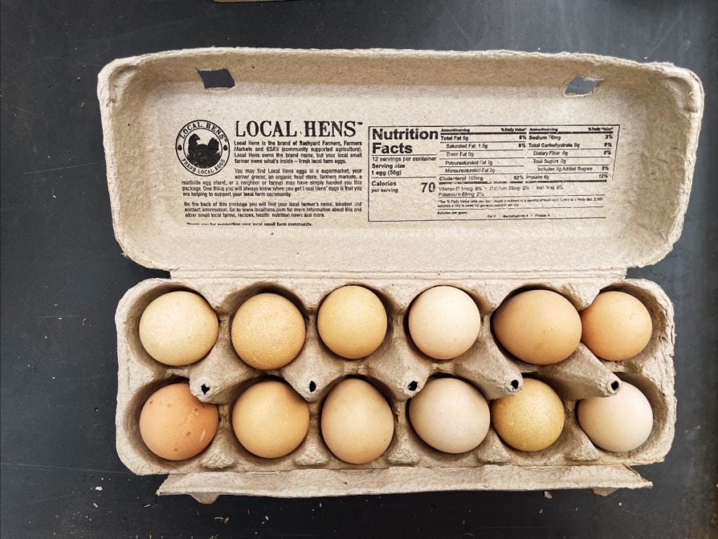 Black Cat Organic Farm Picture of Guinea eggs in egg carton.