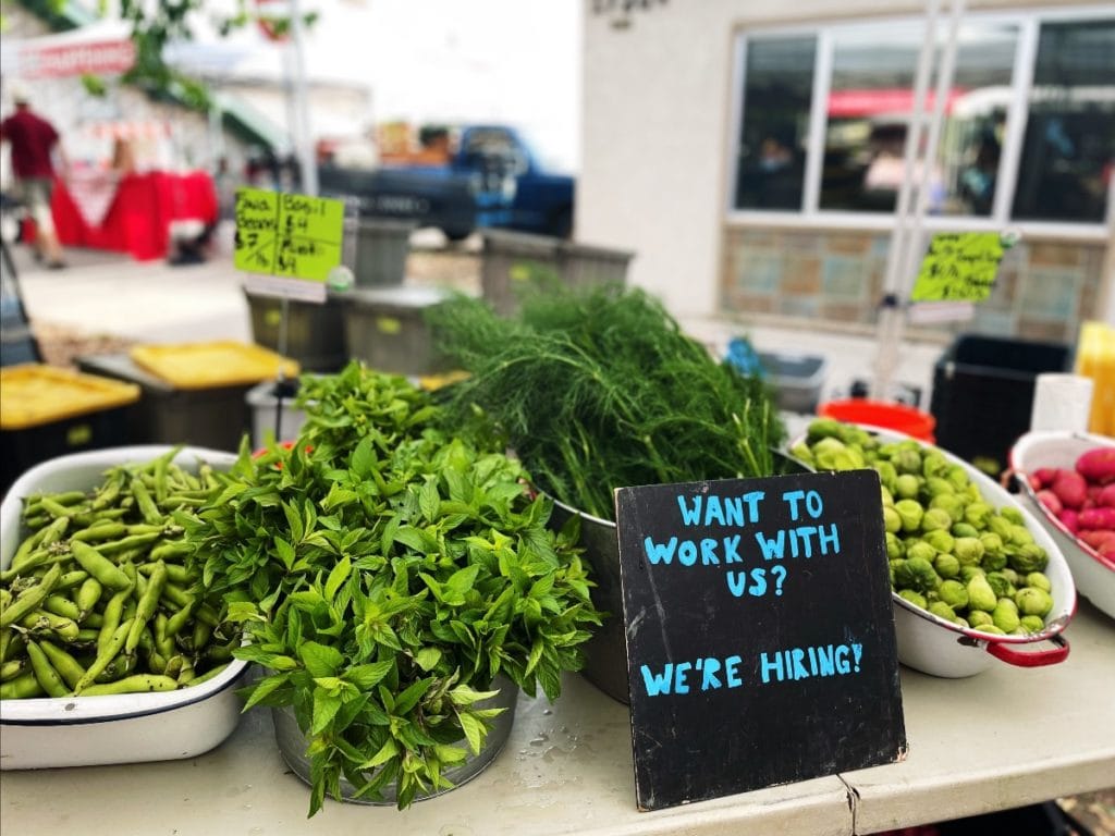 Fava beans, herbs, fennel, tomatillos, red potatoes—and a sign broadcasting our desire for a new member of the Farm Store team.
