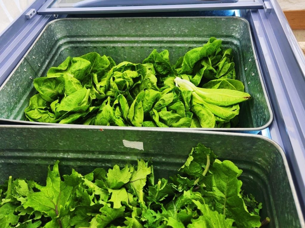 Our Farm Store now stores greens in customer-facing refrigerators. You can now fill your own bags with greens, just like at the Farmers Market.