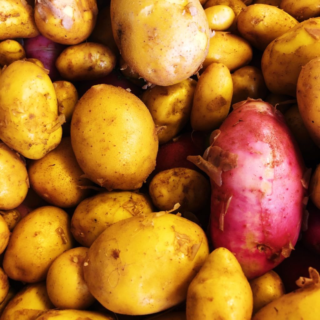 Potatoes—a gift from Peru to the world.