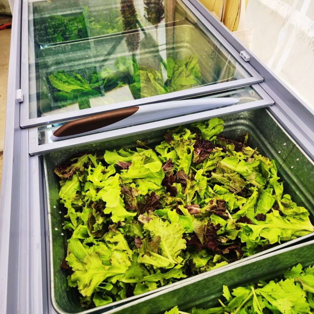 More refrigerator-for-greens thrills!