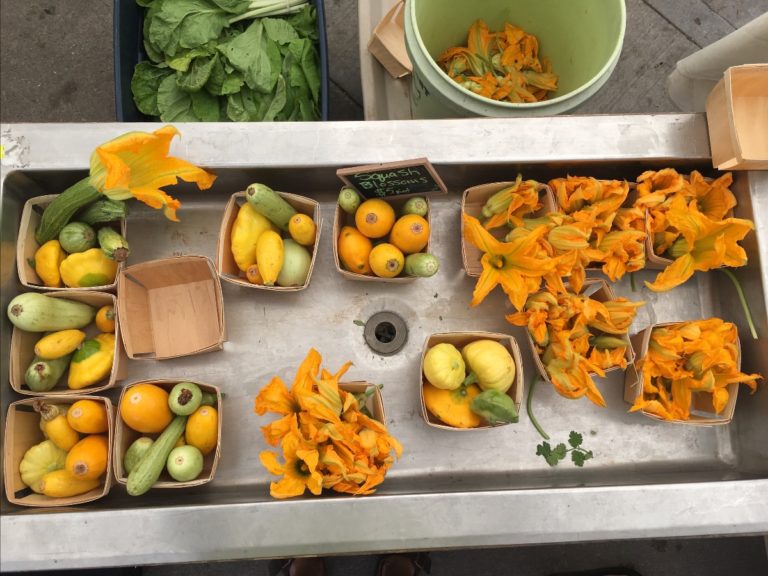 A squash blossom display at Black Cat's farm stand from a past season.